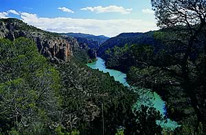 R&iacute;o J&uacute;car entre El tranco y El Molinar